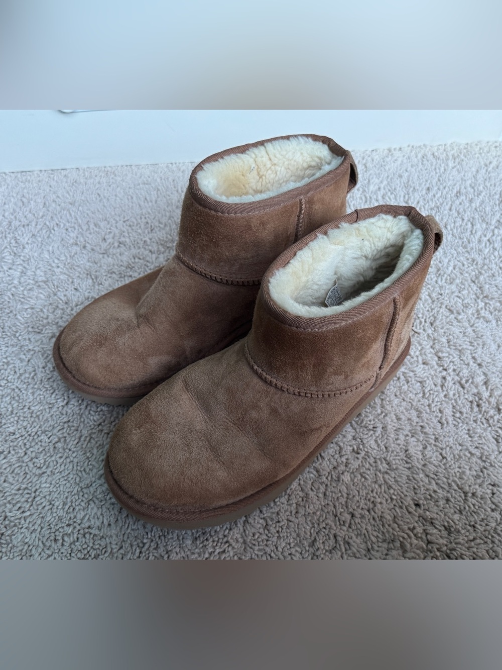 Ugg Mini Boots